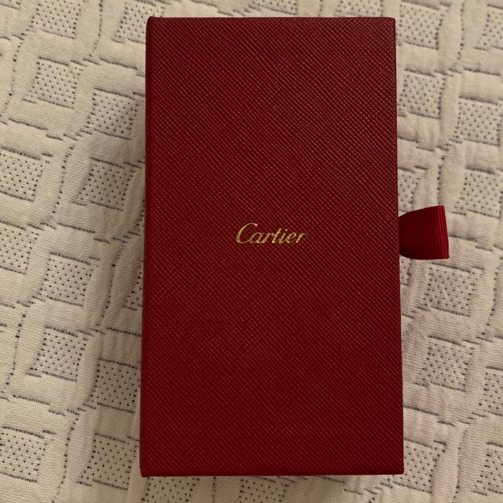Cartier care cleaner kit